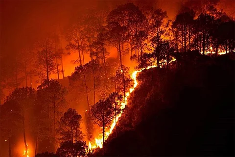उत्तराखंड के जंगलों में आग की घटनाओं में दोगुनी वृद्धि, सूक्ष्मजीवों के लिए बनी मुसीबत