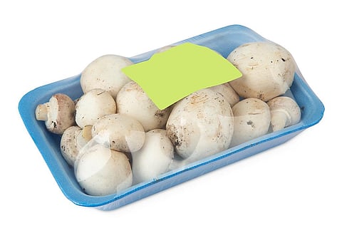 इम्युनिटी बूस्टर के साथ-साथ, औषधीय गुणों से संपन्न मशरूम; फोटो: आईस्टॉक