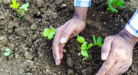 Representational Photo from iStock