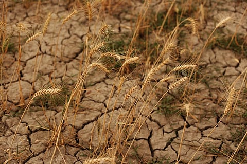 India experienced extreme weather events on 235 of the 273 days — a little over 86 per cent of the days — from January 1-September 30, 2023. Photo: iStock