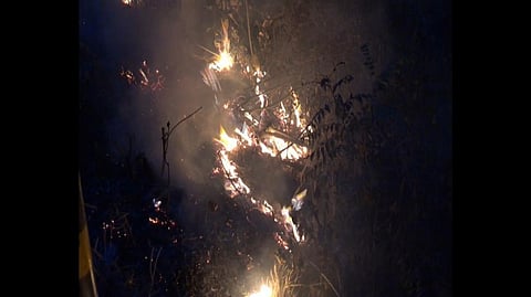 A forest fire in Tehri district, Uttarakhand. Photo provided by Varsha Singh