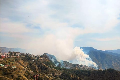 हिमाचल के शिमला जिले में धूं धूं कर जलते जंगल