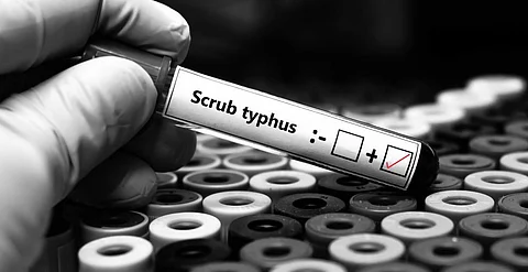 Photo: iStock