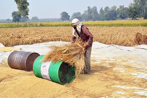 बढ़ते तापमान से जूझते भारतीय किसान; फोटो: आईस्टॉक