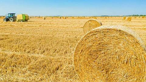 Machinery for biomass aggregation such as tractors, balers, rakers, among others would need a 65 per cent investment from the government, 25 per cent from the industry and the remaining 10 per cent from the farmer-producer organisation. Photo: iStock