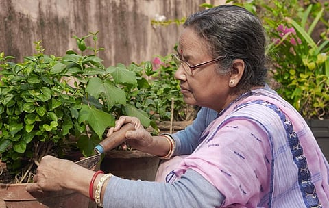 Representative photo from iStock