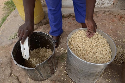 Representative photo from iStock