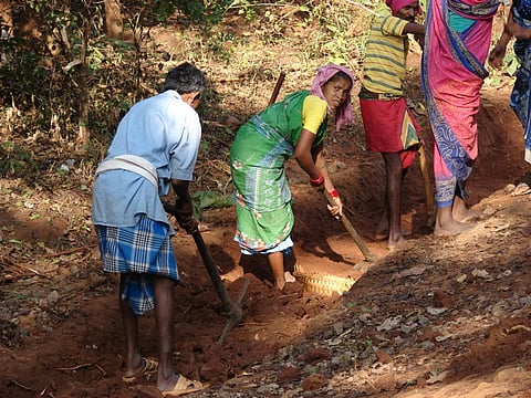 NREGA workers carrying out civic works in Rayagada, Odisha. Photo: Supriya Singh / CSE