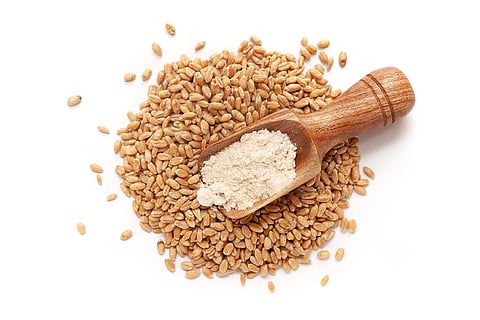 2023 में वैश्विक स्तर पर अनाज उत्पादन भी 283.6 करोड़ टन के रिकॉर्ड स्तर पर पहुंच सकता है; फोटो: आईस्टॉक