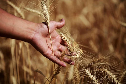 Representative photo: iStock
