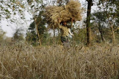 फोटो साभार : सीएसई