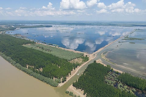 Flooded and reconstructed area of Mahmudia wetland. Photo: Marius Vasile / WWF-Romania