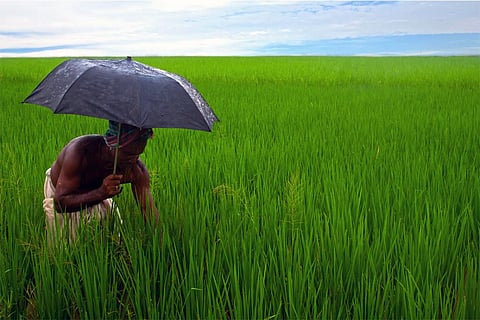 अनुमान है कि ला नीना की वजह से देश में औसत से ज्यादा बारिश हो सकती है, लेकिन उत्तर प्रदेश, झारखंड और बिहार जैसे राज्यों बारिश में कमी का सामना करना पड़ सकता है; फोटो: आईस्टॉक