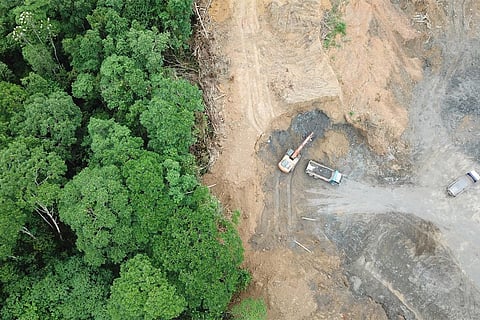 बढ़ती इंसानी महत्वाकांक्षा के चलते दुनिया भर में तेजी से किया जा रहा है जंगलों का विनाश; फोटो: आईस्टॉक