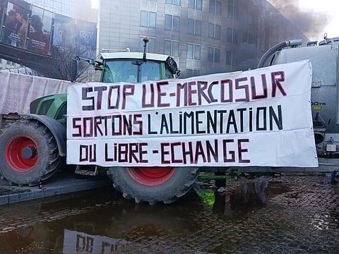 Farmers took over Place Luxembourg and the streets adjacent to the European Parliament in Brussels, Belgium on February 1, 2024. Photo: @ECVC1 / X (formerly Twitter)