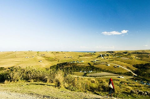 Photo for representation: iStock