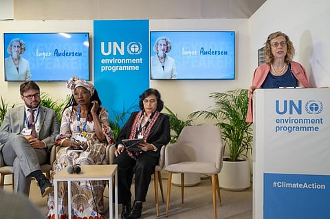 Inger Andersen (in pink), speaks at an event. Photo credit: @andersen_inger / X