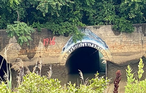 A mural on a bridge in the Matawan Creek area of New Jersey, where 3 of the 5 Jersey Shore Attacks took place. Photo: Wikimedia Commons CC BY-SA 4.0