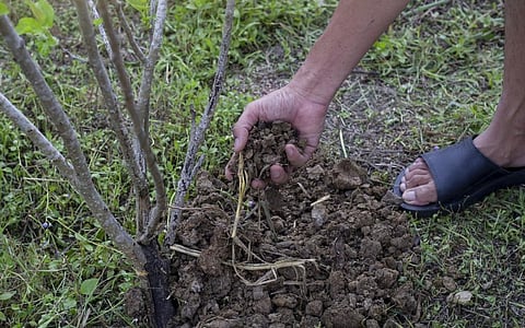 Representative photo from iStock
