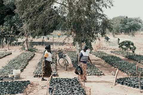 Photo for representation: iStock