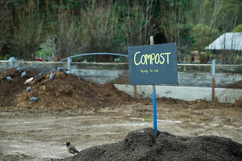 Composting, a sustainable alternative to traditional waste disposal methods, involves the controlled decomposition of organic matter by microorganisms like bacteria and fungi. Photo: iStock
