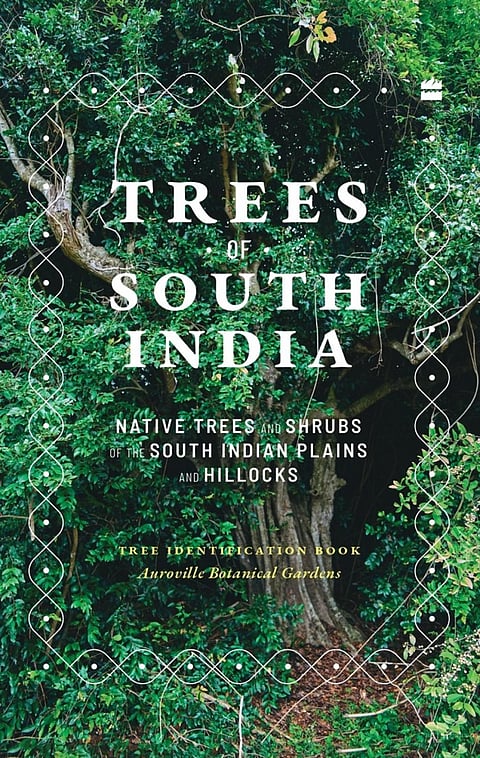 Book Excerpt: A guide to the Peninsula’s indigenous floral wealth