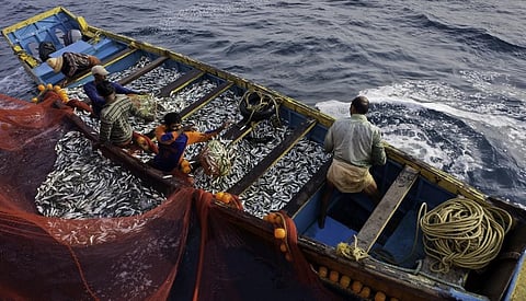 A catch of sardine being loaded onto a delivery boat off the coast of Kannur, Kerala. Representative photo from iStock