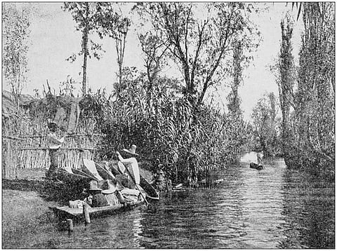 Vintage photograph of an ancient Aztec system known as chinampas in Mexico. Photo: iStock