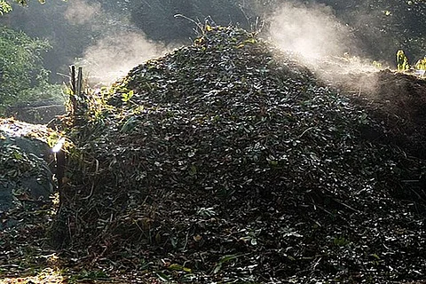 फोटो साभार: विकिमीडिया कॉमन्स, एंड्रयू डन