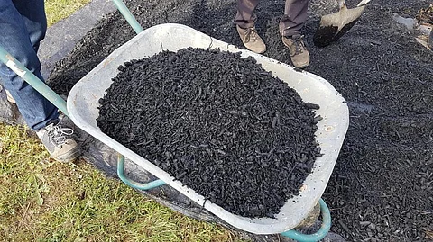 Biochar. Representative photo from iStock