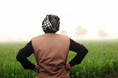 अपनी गेहूं की फसल को निहारता भारतीय किसान; फोटो: आईस्टॉक