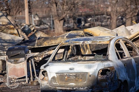 Photo shared by Texas Division of Emergency Management on their X handle, @TDEM