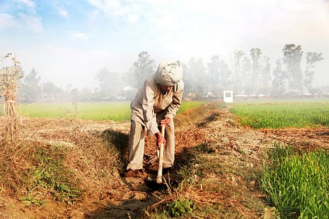Photo: iStock