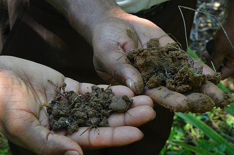 फाइल फोटो: आदित्य बतरा