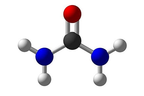 फोटो साभार : आईसटॉक