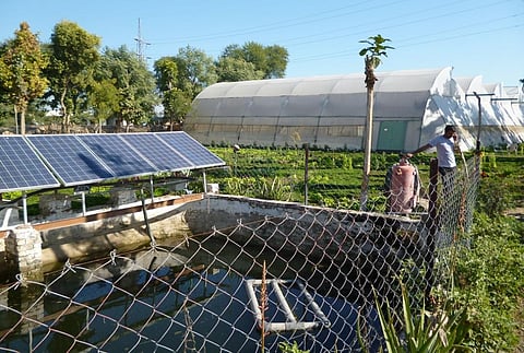 फाइल फोटो: अंकुर पालीवाल