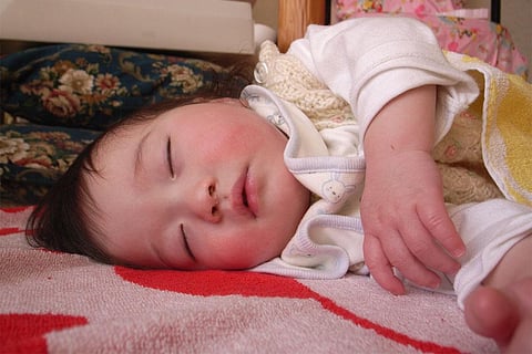 फोटो साभार: विकिमीडिया कॉमन्स, तोशीयुकी आईएमएआई