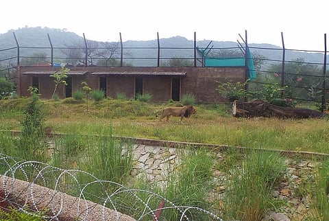 फोटो का इस्तेमाल प्रतीकात्मक किया गया है। फोटो साभार: राजस्थान पर्यटन विभाग