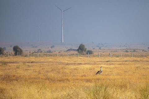 फोटो:विकास चौधरी