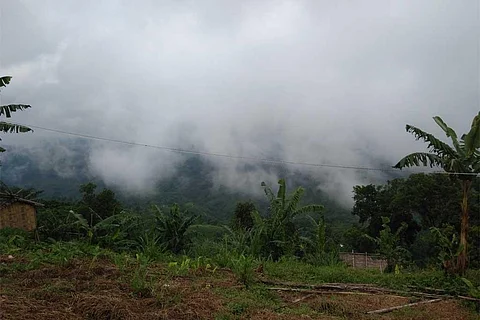 फोटो साभार: विकिमीडिया कॉमन्स, जोहराकेया