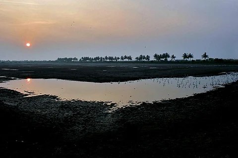 कोलेरू झील/ फोटो: जेएम गर्ग/विकिपीडिया