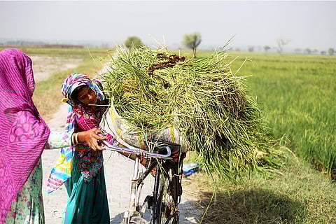 आंकड़ों की मानें तो इस साल कोई भी महीना ऐसा नहीं रहा जिसने बढ़ते तापमान के रिकॉर्ड न बनाए हों; फोटो: आईस्टॉक