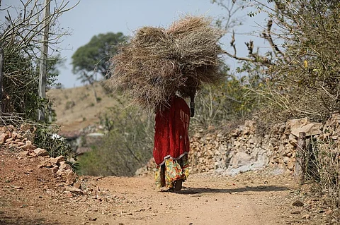फाइल फोटो: विकास चौधरी