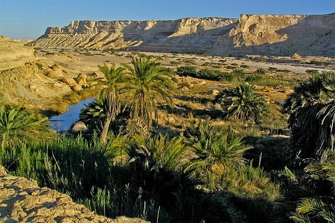 वर्तमान में मरूद्यान 37 देशों में पाए जाते हैं। 77 फीसदी मरूद्यान एशिया में स्थित हैं और 13 फीसदी ऑस्ट्रेलिया में पाए जाते हैं।फोटो साभार : विकिमीडिया कॉमन्स, हेंड्रिक डेक्वीन उर्फ लूफी