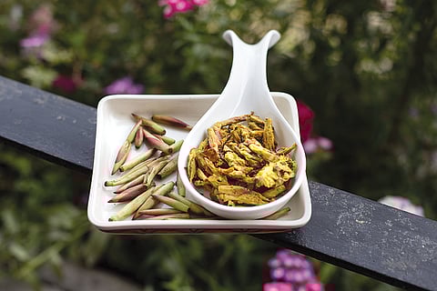 पिलखन की नई पत्तियां का इस्तेमाल पौष्टिक सब्जी के रूप में किया जाता है, देश के कई आदिवासी समुदाय इसे खाते हैं (फोटो: विकास चौधरी / सीएसई)