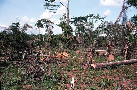 Photo for representation: iStock