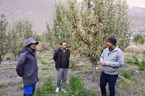 Local farmer Subodh Kumar (left) earns Rs 15 lakh a year from apple harvest, a marked improvement from what his ancestors made growing potato. Photo: Author provided
