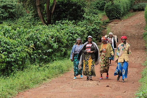 Photo for representation: iStock