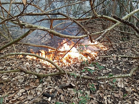 A fire broke out in East Sundarbans on May 5, 2024 a short distance from Amorbunia village in Morelganj upazila (sub-district) of Bagerhat district, Bangladesh. Photo: Rafiqul Islam Montu