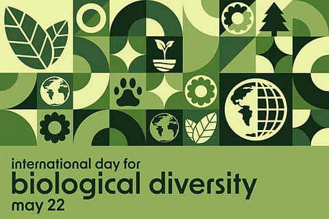 इस साल के 21 अक्टूबर से एक नवंबर 2024 तक कोलंबिया में जैविक विविधता सम्मेलन (सीओपी 16) होगा, फोटो साभार: आईस्टॉक
